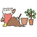 월수금;꽃 이미지