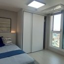 우분투포레스트 이미지