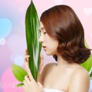 염리초교 이미지