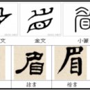眉 눈썹 미 이미지