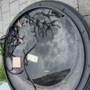 아이러니/ 오정순 이미지