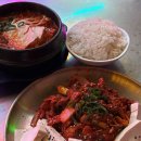 바른포차 | [시드니 여행] 시드니 한식 맛집 차이나타운 오징어포차 솔직 후기