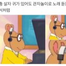 킷사서울 이미지