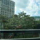 스위첸 당구장 네이버블로그