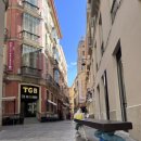 봄꽃산부인과의원 | [칼럼]봄꽃 나들이 시즌 시작. 여행 가고 싶은데 요실금 걱정도 커졌다면?