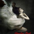 정열의 탱고 이미지