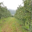 복수농장 이미지