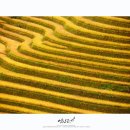 세계문화유산인문학 이미지