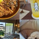 구몰니인사리 이미지