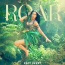 "더 이상 참지 않기로 했다" Katy Perry- Roar 가사 해석 발음 & 유용한 영어표현 10