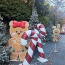 이월드 | 대구 이월드 크리스마스 시즌 자유이용권 할인 주차 후기