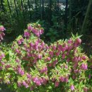 홍성식당 이미지