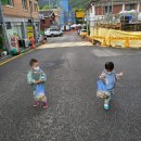 소정몬테소리어린이집 | KT프로젝트 :: 몬테소리 강의 후기와 나와 아이들에게 적용해 보기