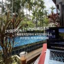 수영장 | 태국 치앙마이 숙소 추천 비앙타패 리조트 수영장 후기