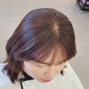 헤어 바이 담 이미지