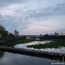 월대천 | [월대천] 사계절 시원한 물이 흐르는 제주시 물놀이 명소