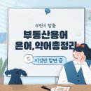 [부린이 탈출] 부동산 용어/은어/약어 총정리