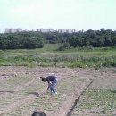 용석농장 Daum카페