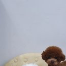 놀다가개유치원 이미지