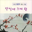 달빛향 이미지