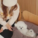 럽모어