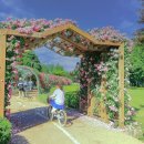 장자호수공원 장미터널 이미지