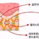 행복한피부 이미지