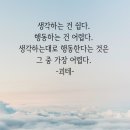 쏠베라 이미지