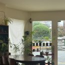 제우스노래방 | 나 이렇게 운이 좋아도 될까?