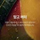 엘지헤어살롱 네이버블로그