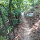 도봉-도봉-서울도봉-2365 이미지