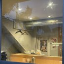 황소골 농장 이미지