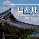 낙산사 부엉이 후기 주차장 넓은 속초 양양 필수 여행코스 인정