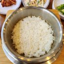 빙고 코다리·아구찜