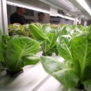 농식품 스마트 물류 혁신 이미지