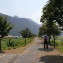 술샘체육관 이미지