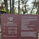 노아의방주 | 사천 애견카페 “노아의방주” 솔직 후기 🐶 운동장 넓고 호텔링까지 가능!