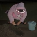 원북면사무소 | 태안 애견동반펜션 숙소 문만 열면 갯벌 체험 해루질 가능