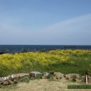 바다별장 이미지