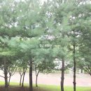 청수2공원 화장실 이미지