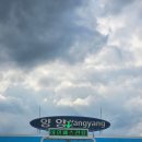 강릉축산농협 하나로마트 입암점 | 🇰🇷2박 3일 강원도 양양 여름휴가⛱ - 상 (풍미 위례, 양양시장, 송이 닭강정, 누룽지 오징어순대)