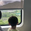 스탬프스튜디오 | 부산 포켓몬 메가페스타 2026 스탬프 랠리 첫 날 후기