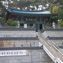 마하사 Daum카페