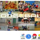 2026 제 4 회 DODGEBALL INSTRUCTOR(멀티볼강사) 자격 강습회 및 보수교육 이미지