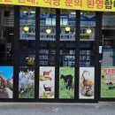 복권염소정육유통 네이버블로그