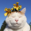 빅토리아 PC방 이미지