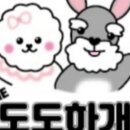 더 도도하개 이미지