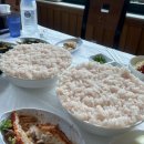 군령포마을 | 한국인의밥상 고성 갯장어 샤브샤브 군령포하모자연산횟집