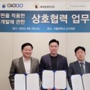 케이엠라인