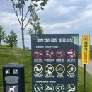 오천그린광장 | 순천만 국가정원 오천그린광장 애견동반 후기